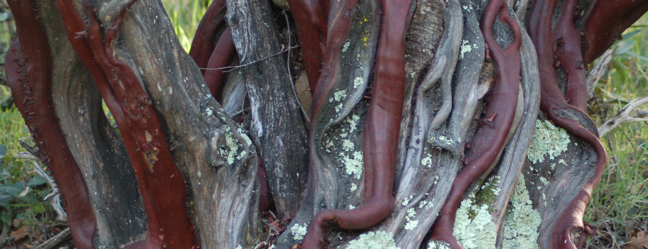 An image highlighting one of our fascinating blog posts